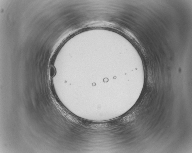 X0000052611376200507292138