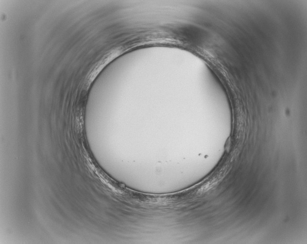 X0000052611377200507292138