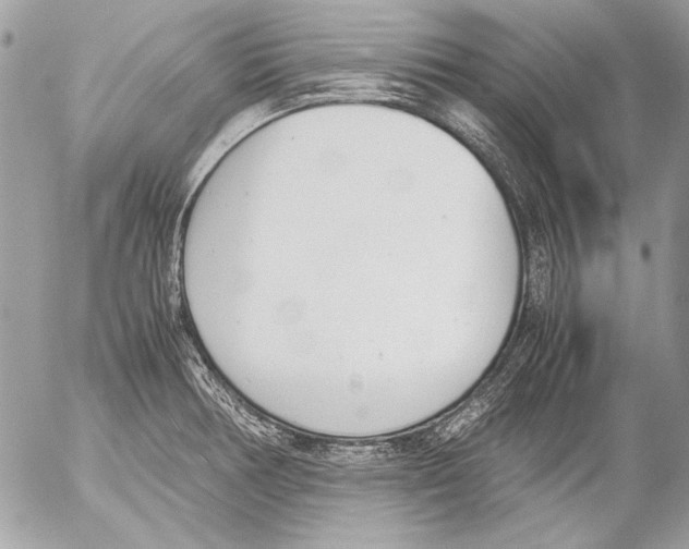 X0000052611378200507292138