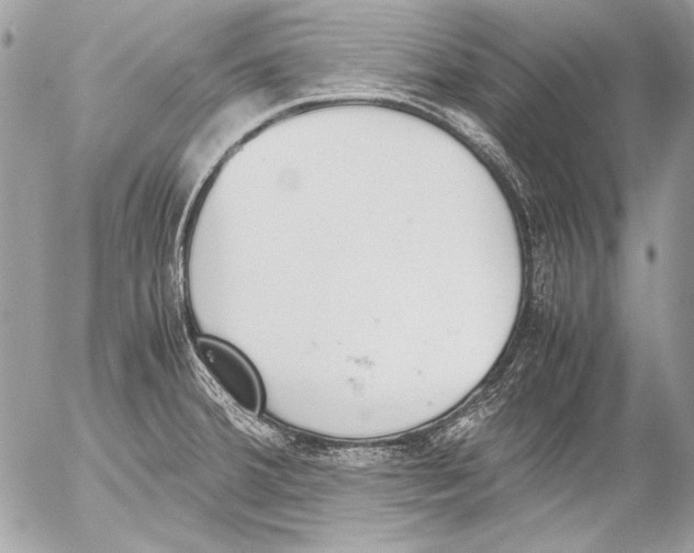 X0000052611380200507292138