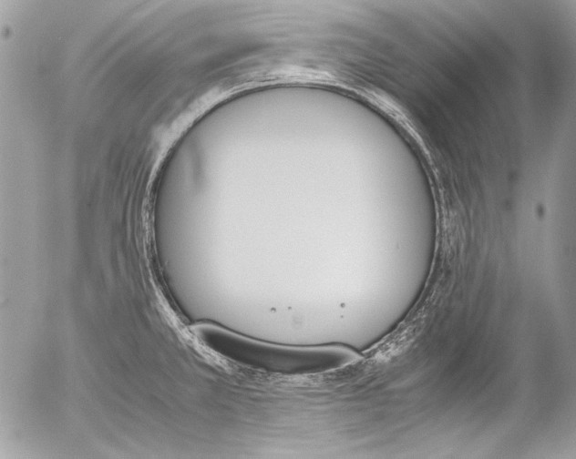 X0000052611381200507292138