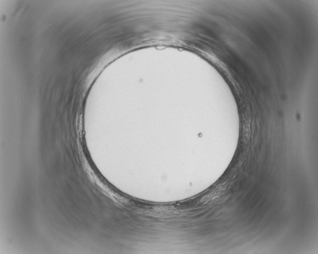 X0000052611383200507292138