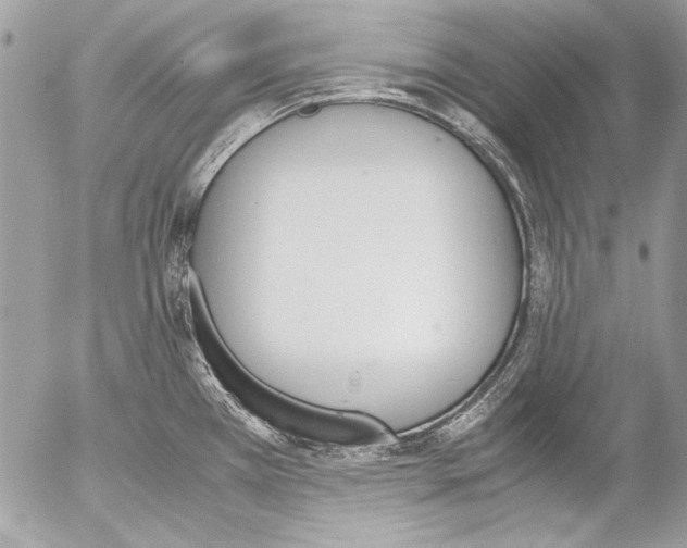 X0000052611385200507292138