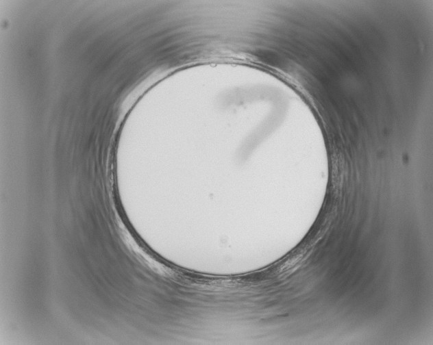 X0000052611387200507292138