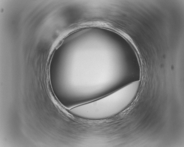 X0000052611389200507292138