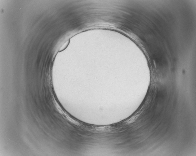 X0000052611390200507292138