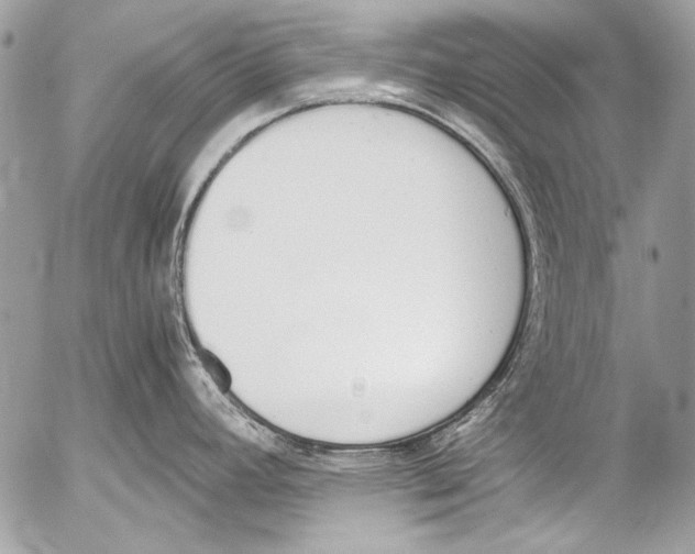 X0000052611392200507292138