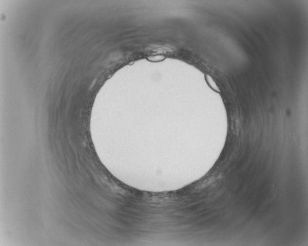 X0000052611393200507292137