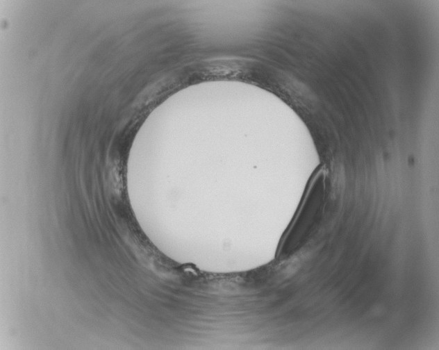 X0000052611394200507292137