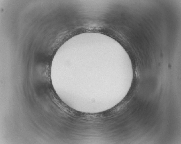 X0000052611396200507292137