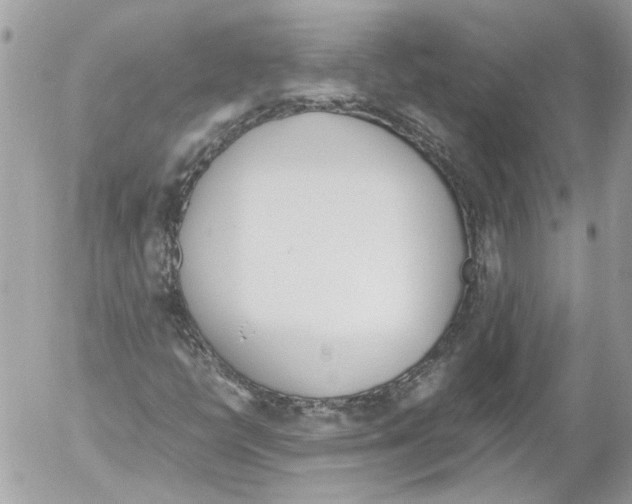 X0000052611398200507292137