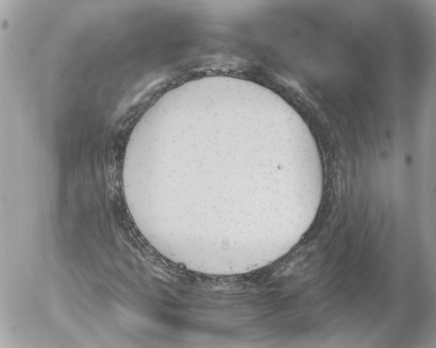 X0000052611399200507292137