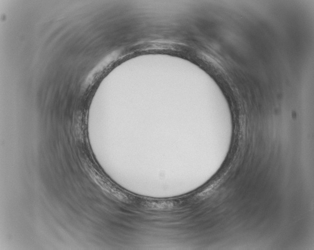 X0000052611403200507292137