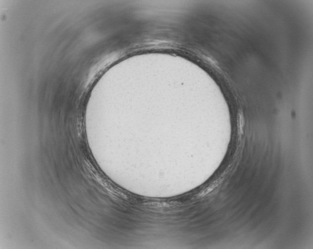 X0000052611405200507292137