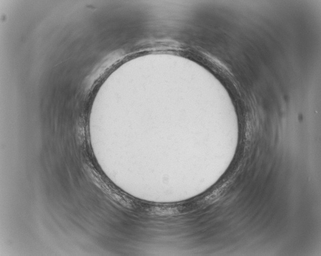 X0000052611407200507292137