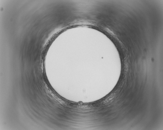 X0000052611408200507292137