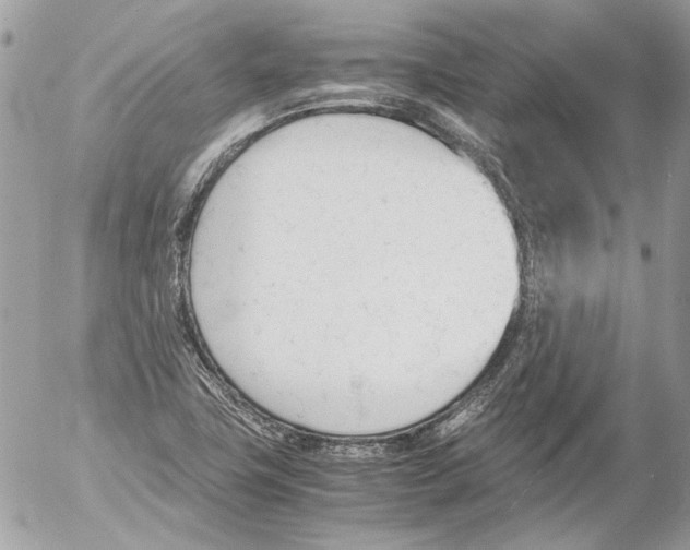 X0000052611411200507292137