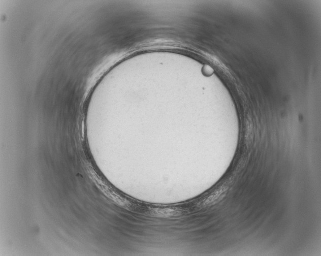 X0000052611413200507292137