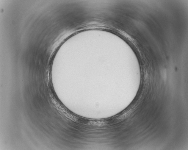 X0000052611415200507292137