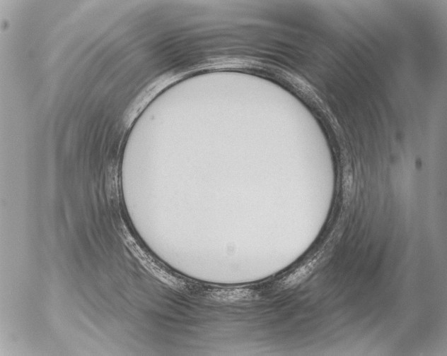 X0000052611417200507292137