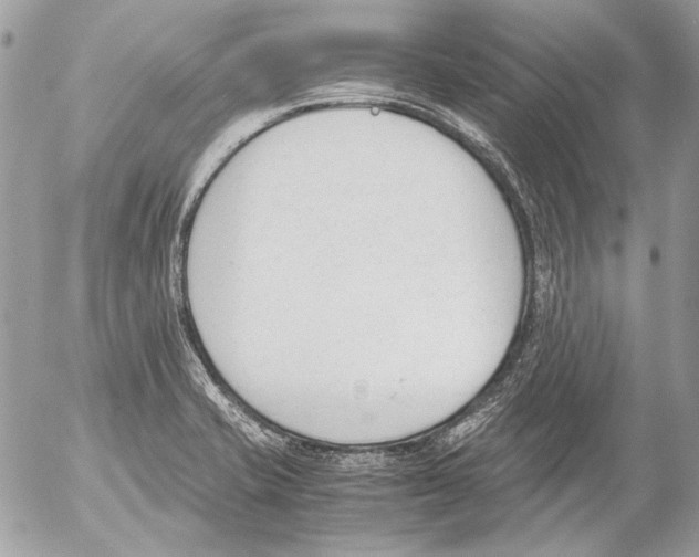 X0000052611421200507292137