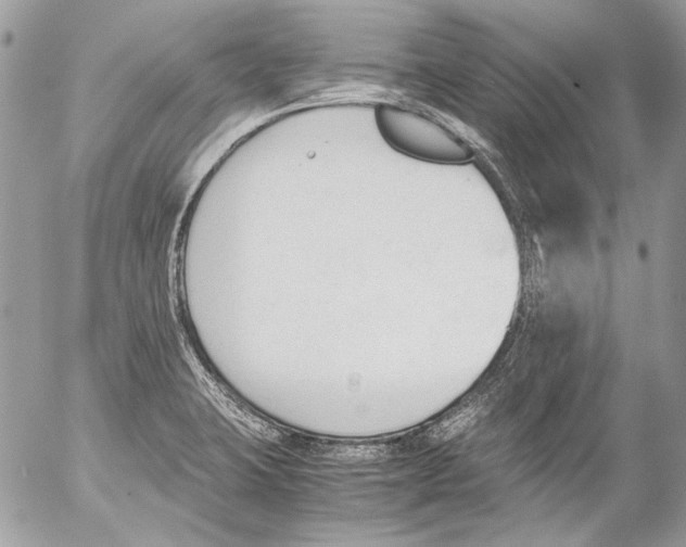 X0000052611423200507292137