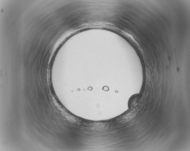 X0000052611424200507292137