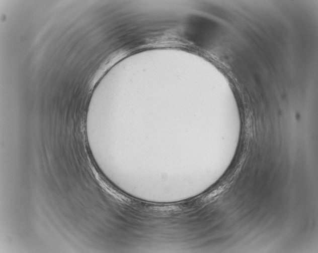 X0000052611425200507292137