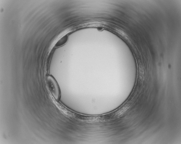 X0000052611426200507292137