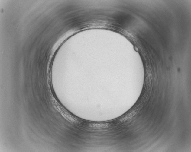 X0000052611427200507292137