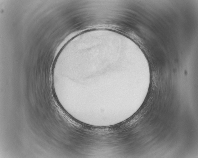 X0000052611428200507292137