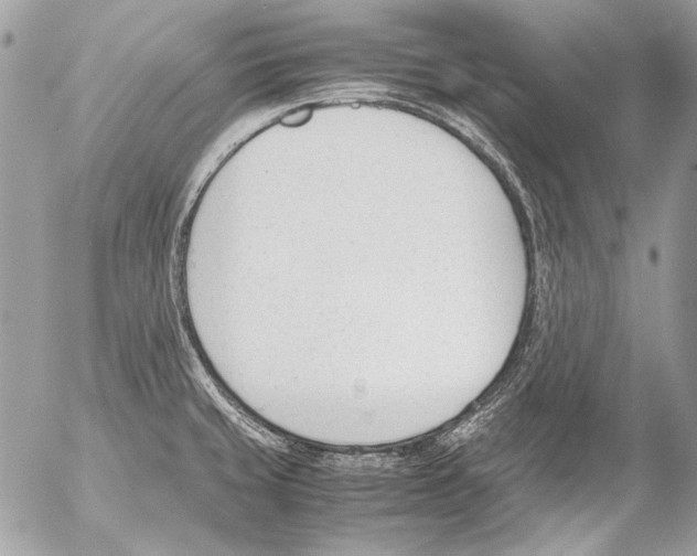 X0000052611429200507292137