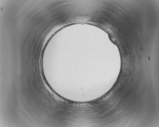 X0000052611432200507292137