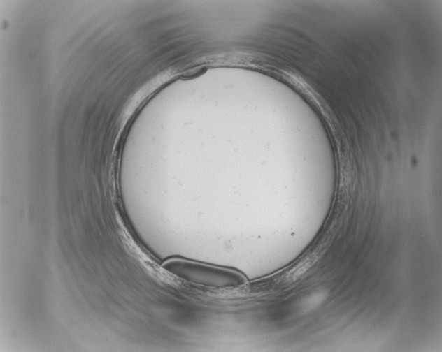 X0000052611434200507292137