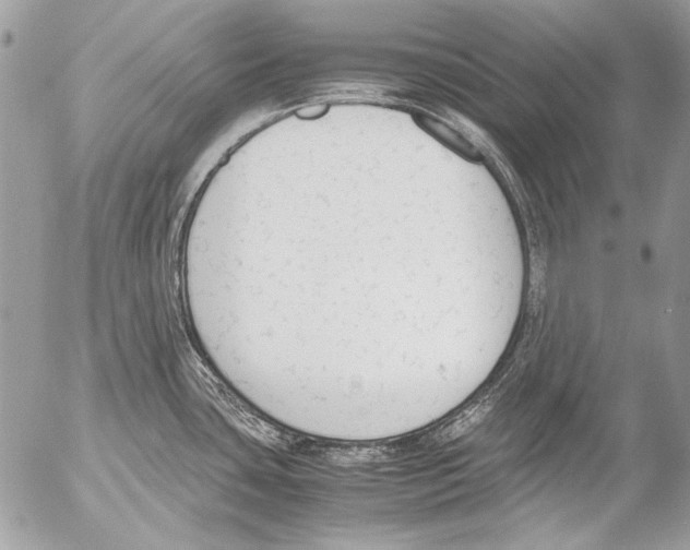 X0000052611435200507292137