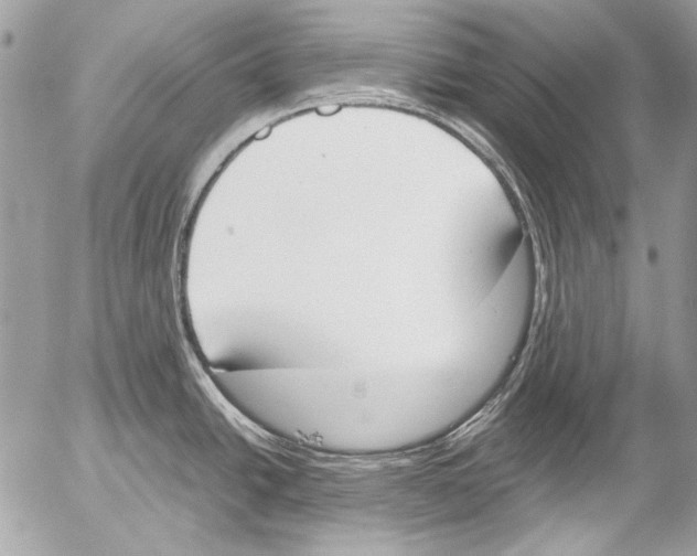 X0000052611438200507292137