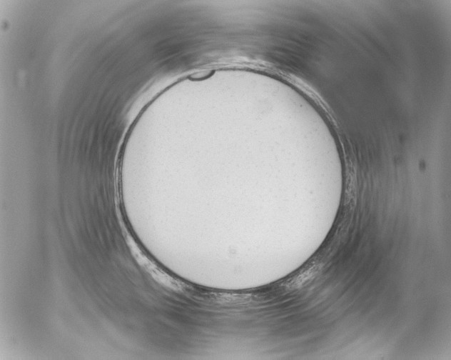 X0000052611439200507292138