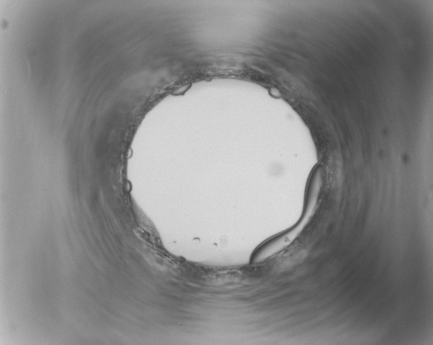 X0000052611441200507292137