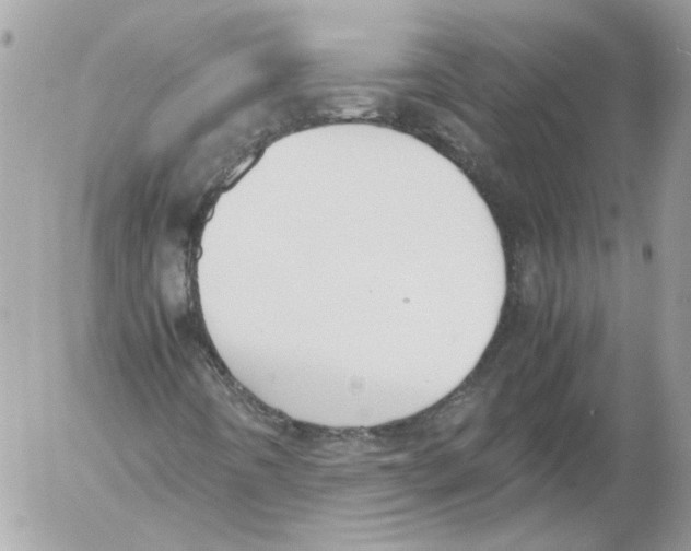 X0000052611442200507292137