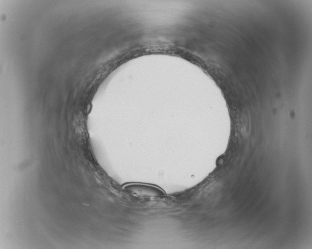 X0000052611445200507292137