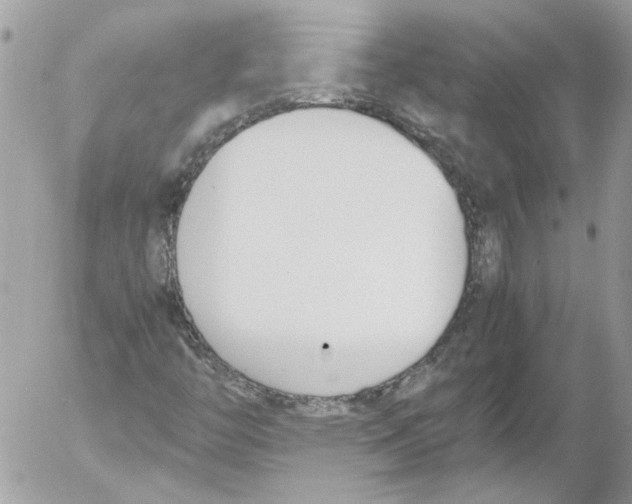 X0000052611446200507292137