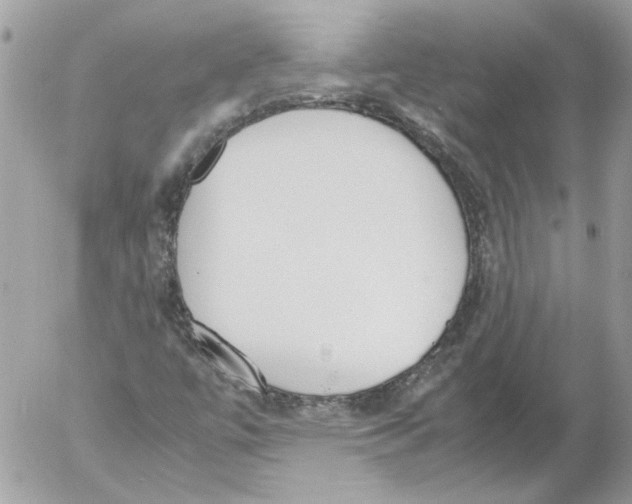 X0000052611447200507292137