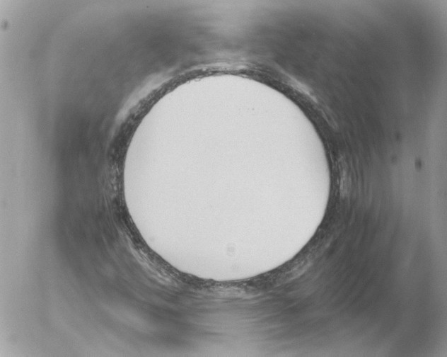 X0000052611448200507292137