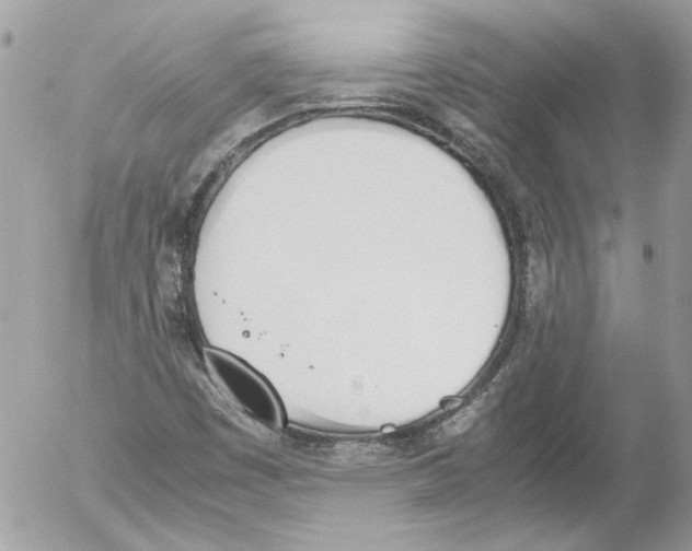 X0000052611449200507292137