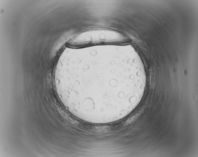 X0000052611453200507292137