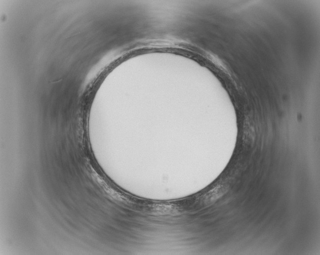 X0000052611456200507292136