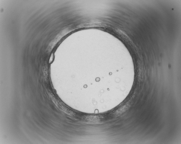 X0000052611457200507292136