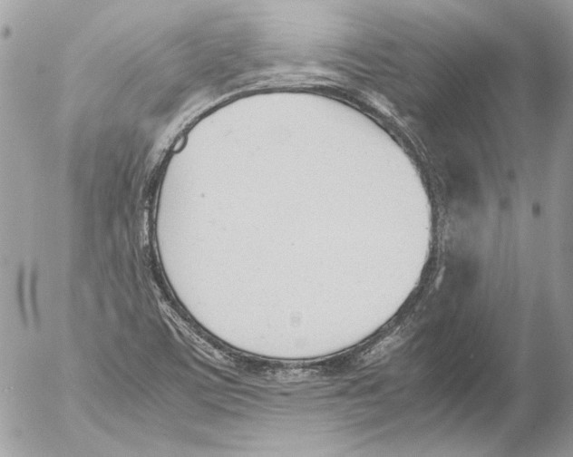 X0000052611459200507292136