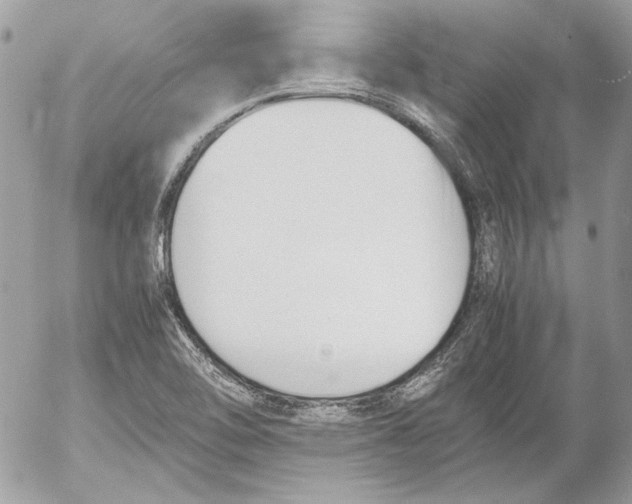 X0000052611462200507292136