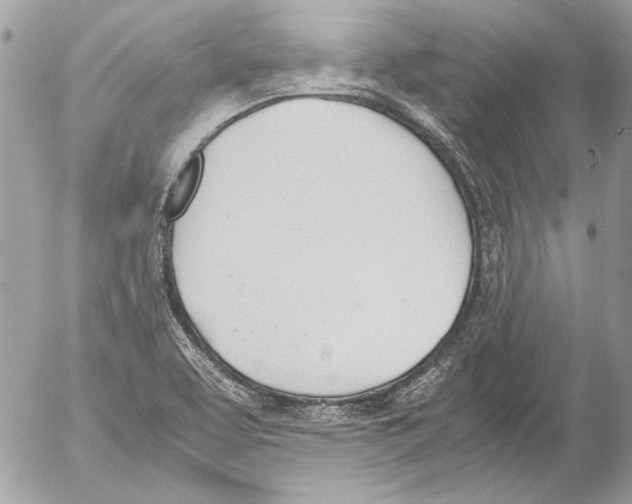 X0000052611463200507292136